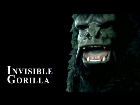 The invisible gorilla pdf download torrent
